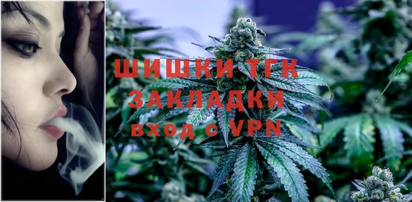 дмт Арсеньев