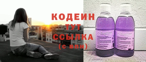 дмт Арсеньев
